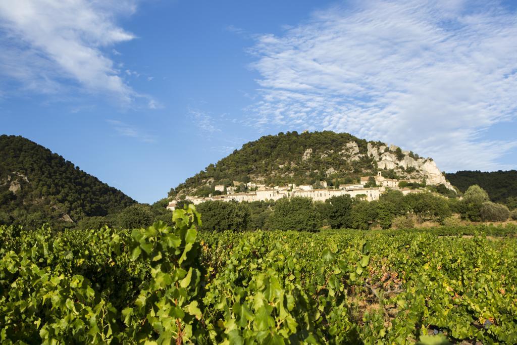 Hotellerie Du Domaine De Cabasse Séguret Kültér fotó